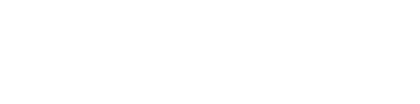 Brivy IT