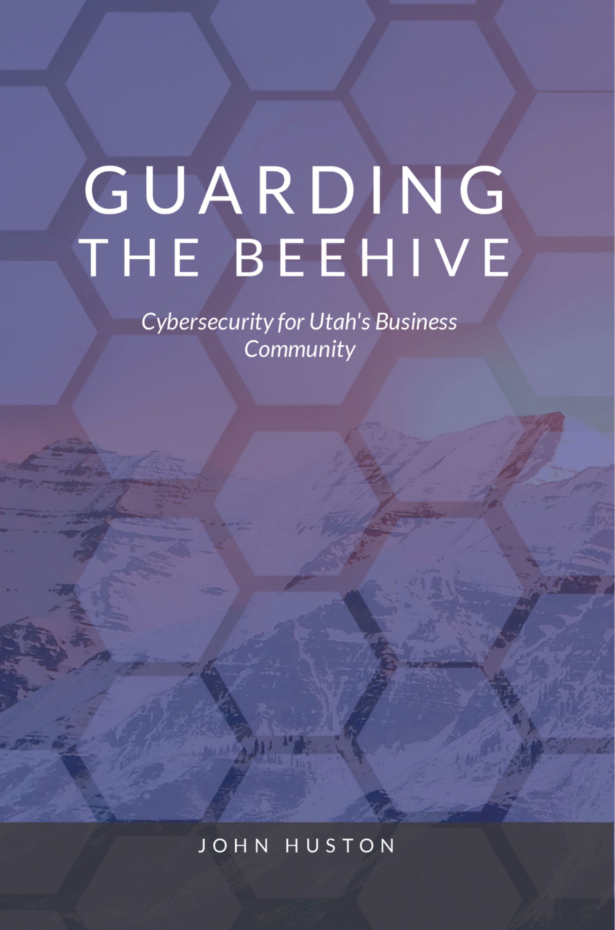 Guarding the Beehive book cover